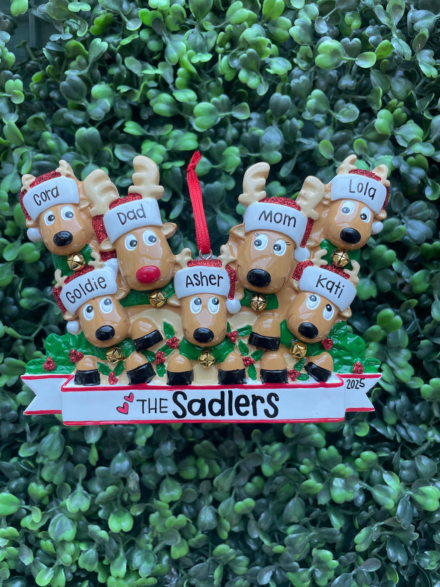 Reindeer - Family of Seven